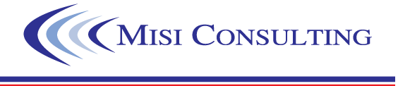 MISI CONSULTING